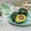 Supplies Plastic Lifelike Table Decoration Photography Props Party Ornaments Artificial Avocado