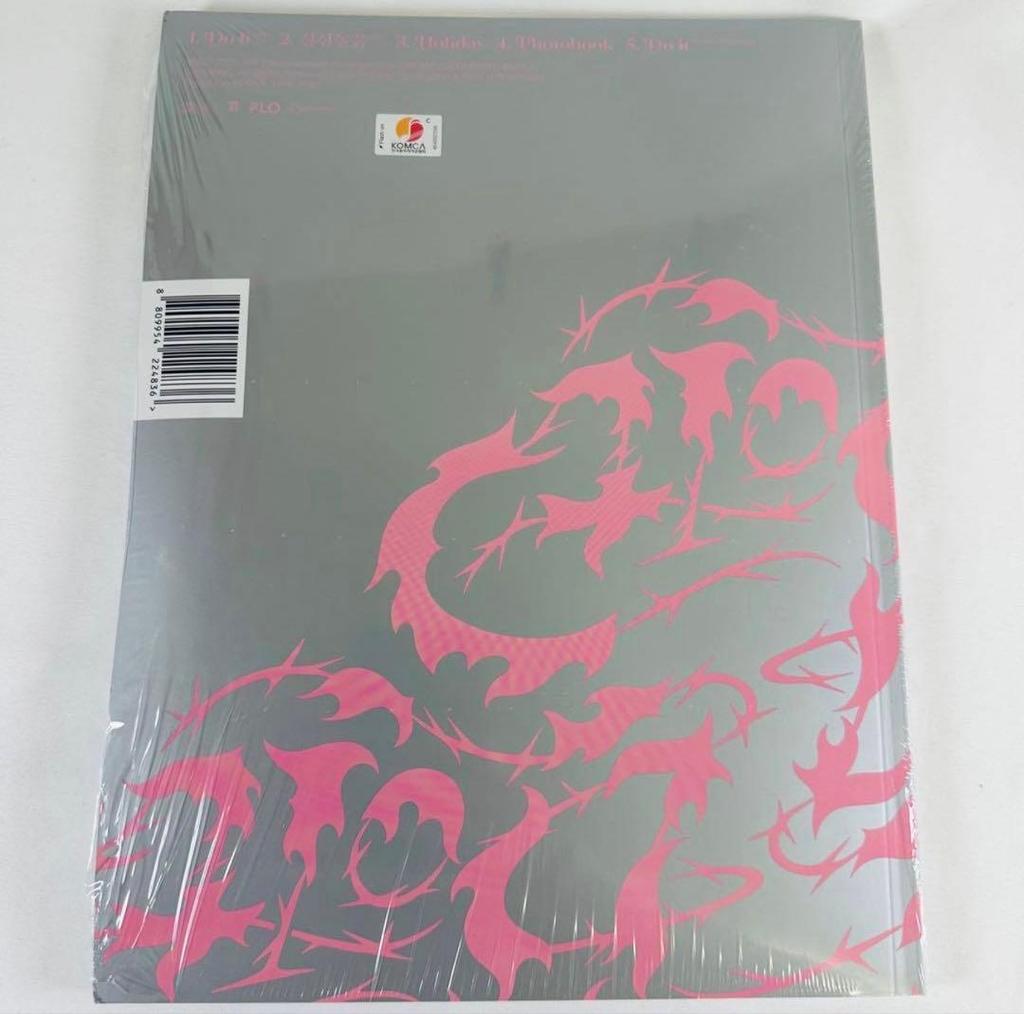 [USED] Stray Kids SKZ DO IT IT Ver. Album