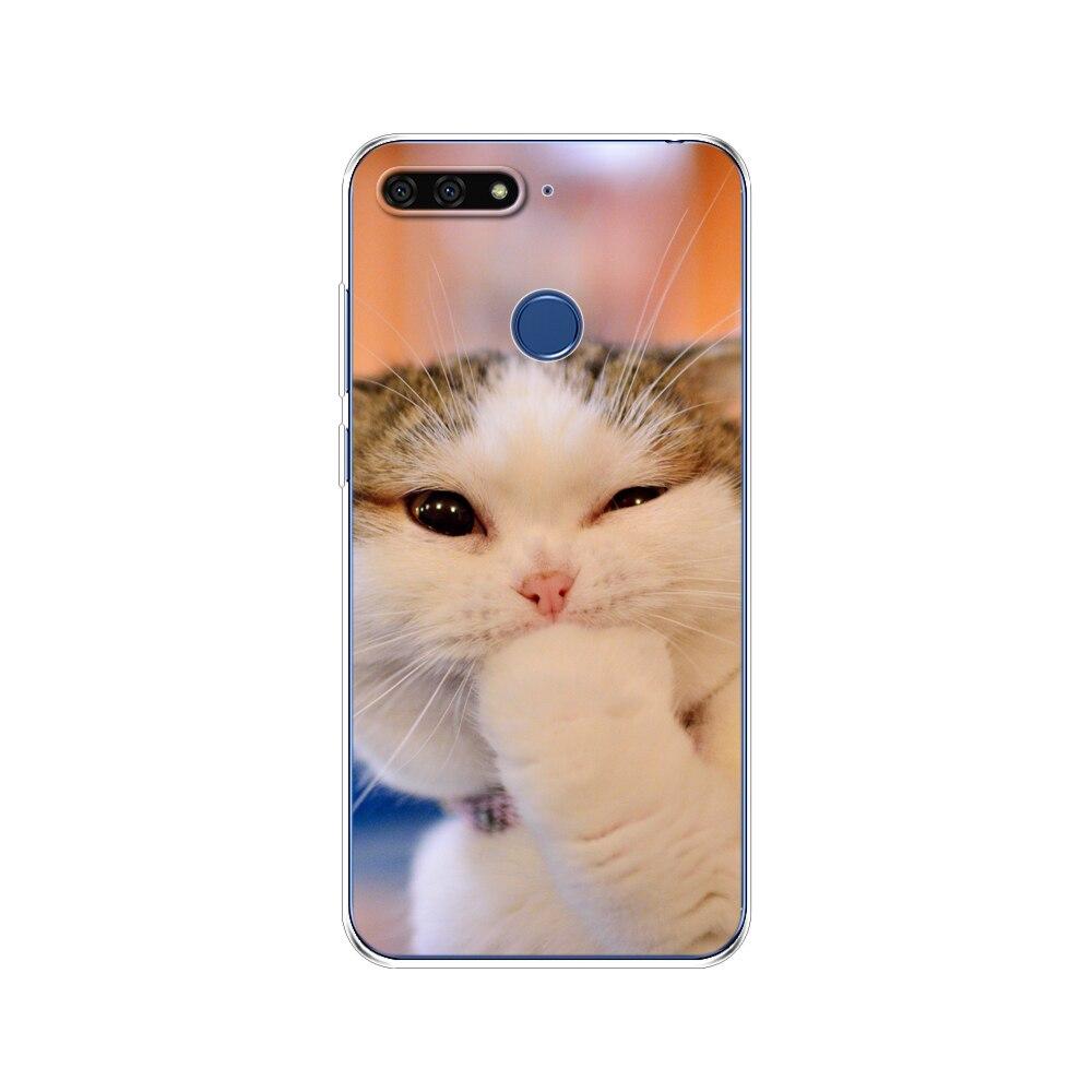 Pro Huawei Honor 7C 5,7 palcový kryt pouzdra Měkký silikonový TPU Roztomilý kryt Zadní ochranné pouzdro na telefon Pro Huawei honor 7c Aum-L41 tašky