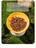 Ceramic Elevated Cat & Dog Bowl - Anti-Tip Design for Cervical Spine Protection - Food & Water Bowl