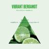 The Body Shop Vibrant Bergamot Shower Gel 250ml [Official] [Authentic Product]