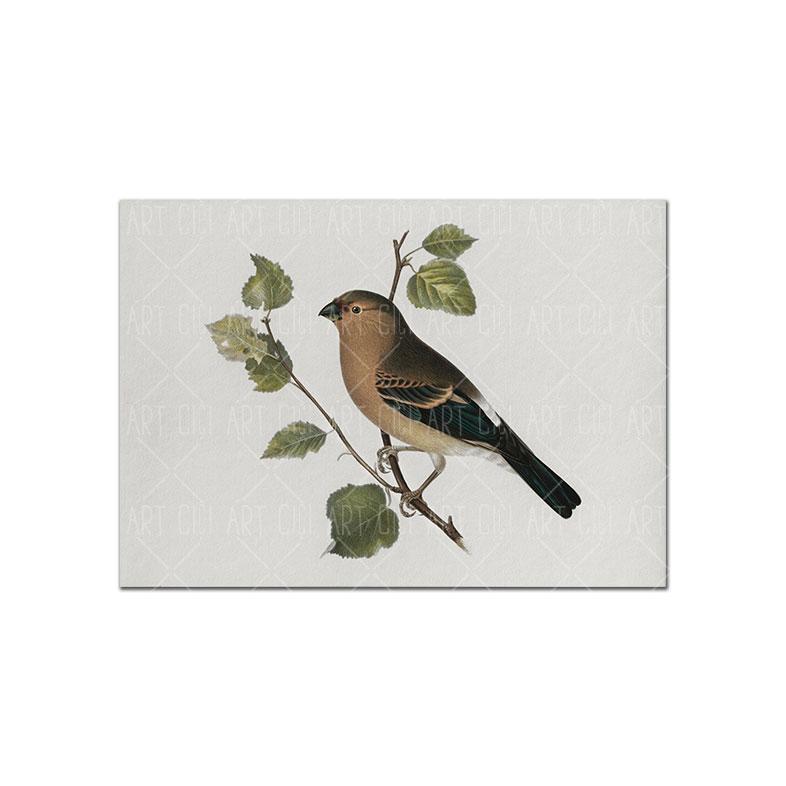 

Винтажный пейзажный постер, нейтральные эскизы, акварель, художественный принт, птицы, холст, картина маслом, настенная картина для гостиной, домашний декор 21x30cm No Framed