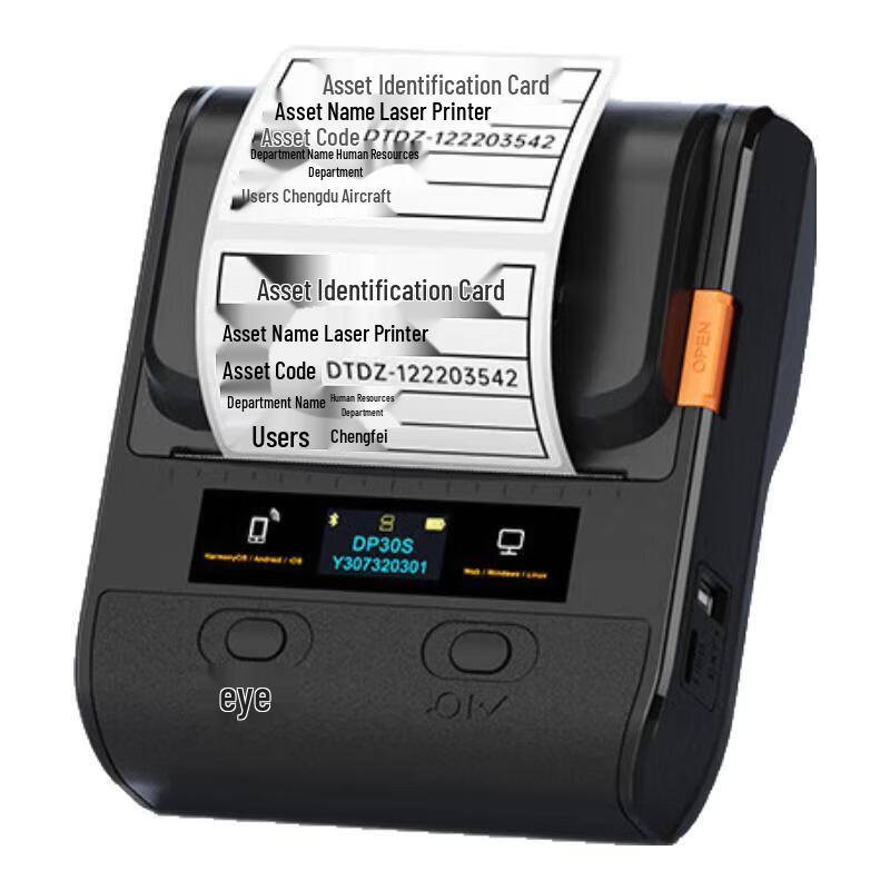 Detong DP30S Portable Label Printer CN plug (adapter included)