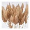 Tohoku Flower Materials Lagrass Pink Beige Dried Flower DT073073 Color Dry Length Approx. 40cm