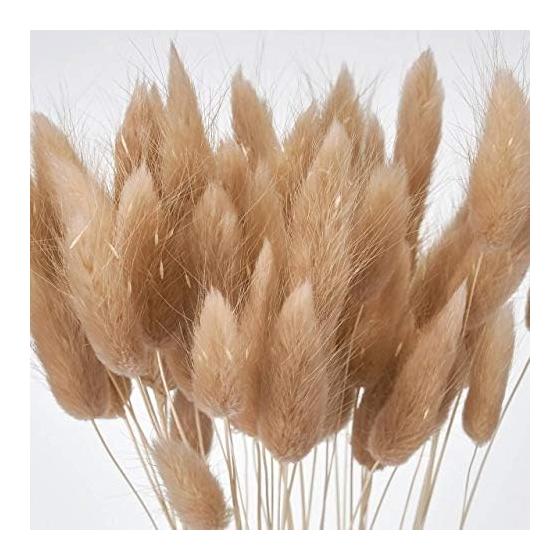 Tohoku Flower Materials Lagrass Pink Beige Dried Flower DT073073 Color Dry Length Approx. 40cm
