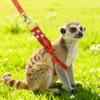 Soft Guinea Pig Harness Escape Proof Ferret Harness Leash Rabbit Towing Rope  Outdoor Walking