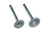 Valve Set STD Stem Diameter For KITACO Cylinder Heads 5.5 302-1013011