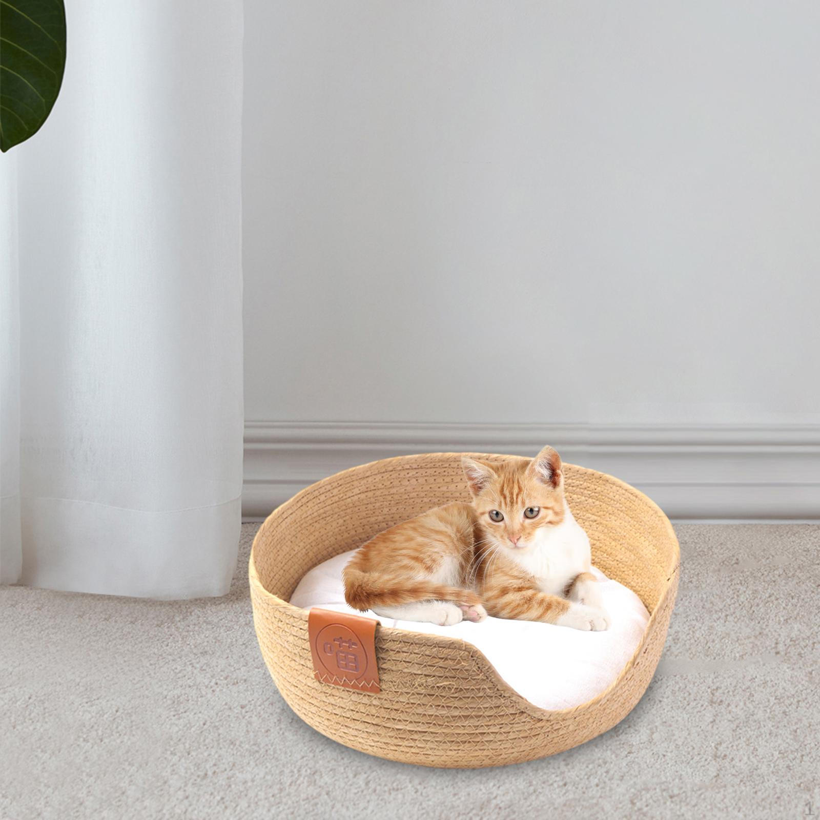 Adorable Pet Slumber S