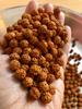 111 Stück lose Rudraksha-Samenperlen nepalesischen Ursprungs, natürliche 5 Mukhi 10 mm, Tränen des Herrn Shiva für Jaap Mala Yoga Gebet Heilung Meditation