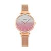 Niche Gradual Change Color High Value Women'S Watch Milan With Light Luxury Magnetic Buckle Quartz Women'S Watch Light