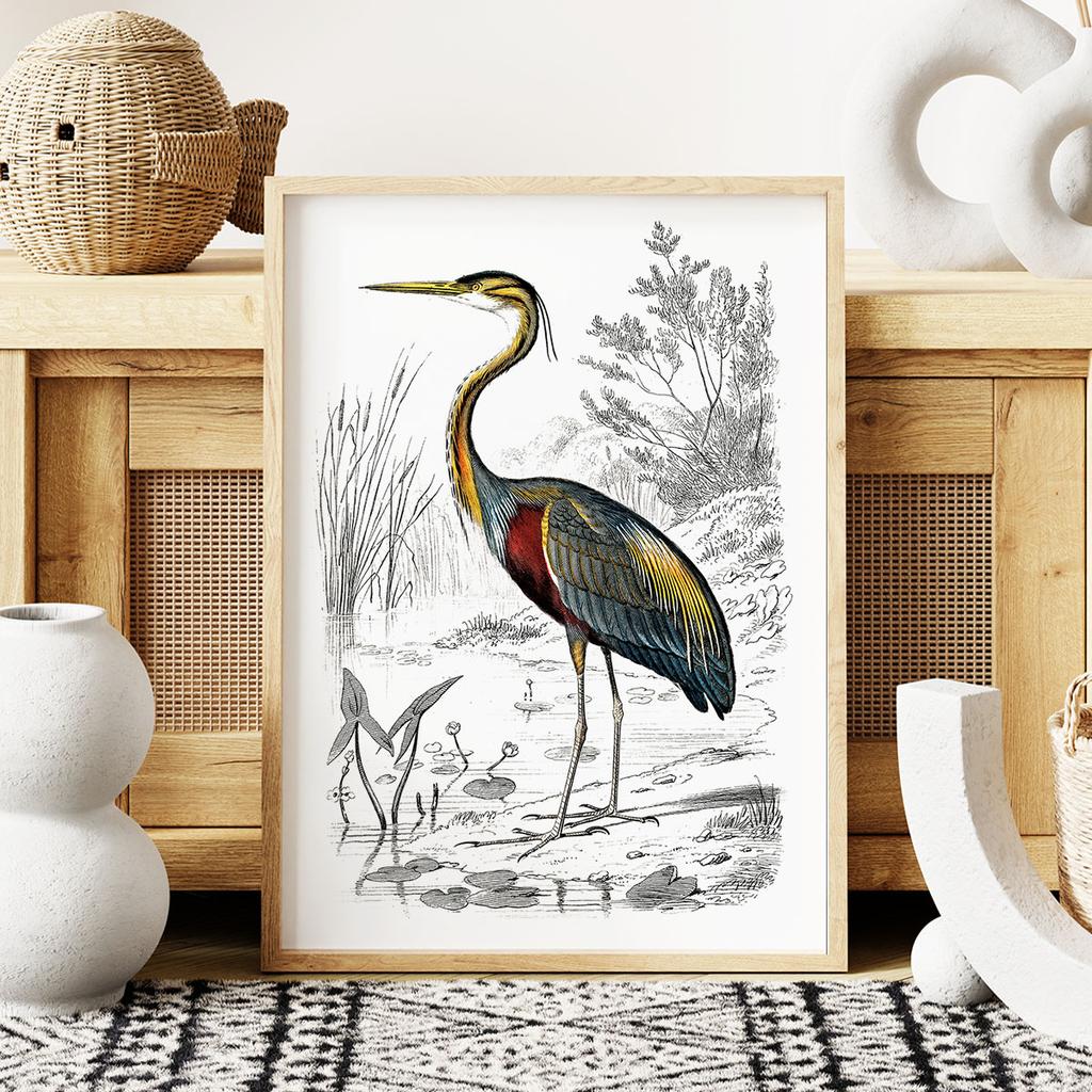 Poster Heron Bird Illustration