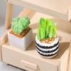 4pcs/Set Of Mini Succulent Potted Ornaments, Cute Cactus Plant Potted Plants, Indoor Desktop DIY  Decoration