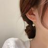 Korea Dongdaemun Fashion Fringed Personality Diamond Flower Ear Buckle Earrings Internet Celebrity Temperament Design Ear Jewelry Women