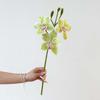 55cm Length Faux Flower 3 Heads Design Simulated Orchid Artificial Magnolia Flower  Tea Room Decor
