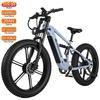 Bicicletta Elettrica Nathaniel SYR09 26" Ruote Grasse Motore di Picco 1000Wx2 7 Velocità Tutto Terreno E-bike per Adulti 48V 20Ah Freni Idraulici