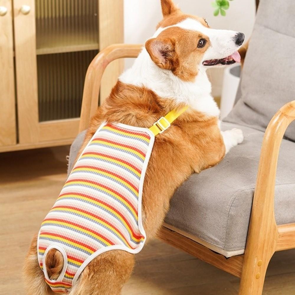 Adjustable Straps Female Dog Underwear Stripe Pet Safety Trousers Dog Underwear  Pet Heat Cycle