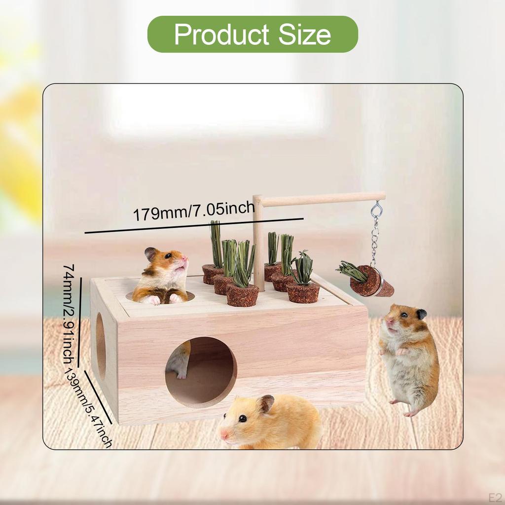 Hamster Hideout Wooden House Guinea Pig Tunnel Fun Cage Decor Small Animal Toys for Syrian