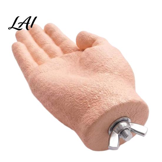 Parrot Training Aid Fake Hand Perch Simulated Human Bird Taming Toy Equipment with Grinding Surface Safe Anti‑Bite Desensitization Stand for Small