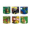 12pcs Teenage Mutant Ninja Turtles Slap Bracelets Kids Birthday Party Favors Wristband Toys for Boys Cosplay Supplies