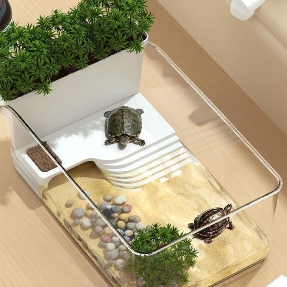 Trocken-Nass-Trennung Schildkrötenbecken Sonnenplatz Schildkröten Sonnenplattform Krabbenbecken Futterhabitat