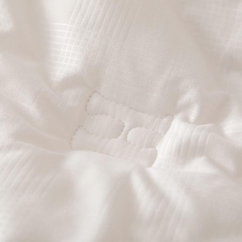 Yiyiai Soybean Fiber Winter Quilt