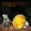 Reptile Heating Lamp Turtle Basking Halogen Light Bulb Heating Light Full Spectrum Sunlamp for Lizards Amphibians 25/50/75W
