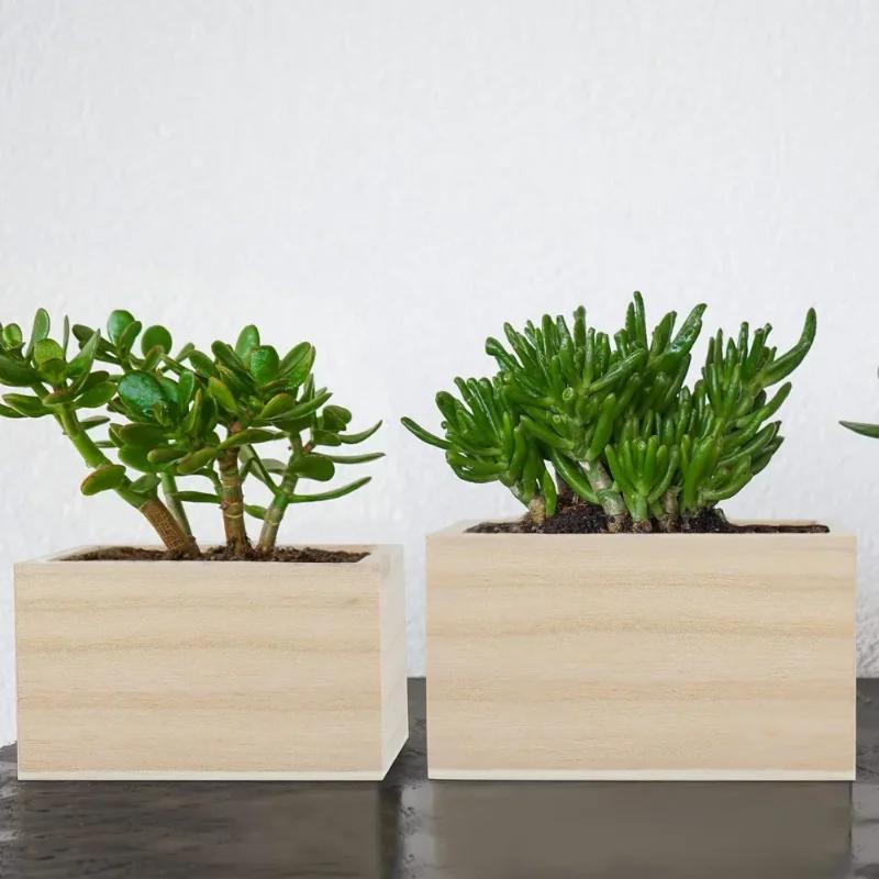 Large Square Wooden Storage Box for Succulent Flower Miscellaneous Handicraft Home Furnishings - Eco-Friendly Organizer Containe