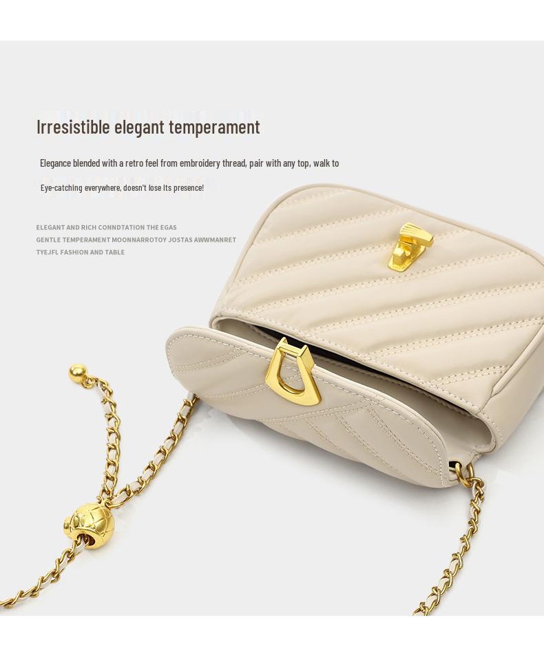 Women's Light Luxury Chain Crossbody Bag: Versatile Spring/Autumn Underarm Bag