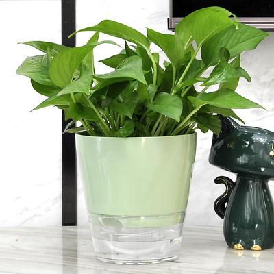 4Pack Bedroom Interior Self Watering Planter  Easy Planters Indoor Plants Plastic Double Layers Flower Pot Set