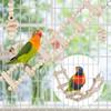 Bird Parrot Swing Toys, Chewing Standing Hanging Perch Hammock Climbing Ladder Bird Cage Toys for Budgerigar, Parakeet, Conure, Cockatiel, Mynah
