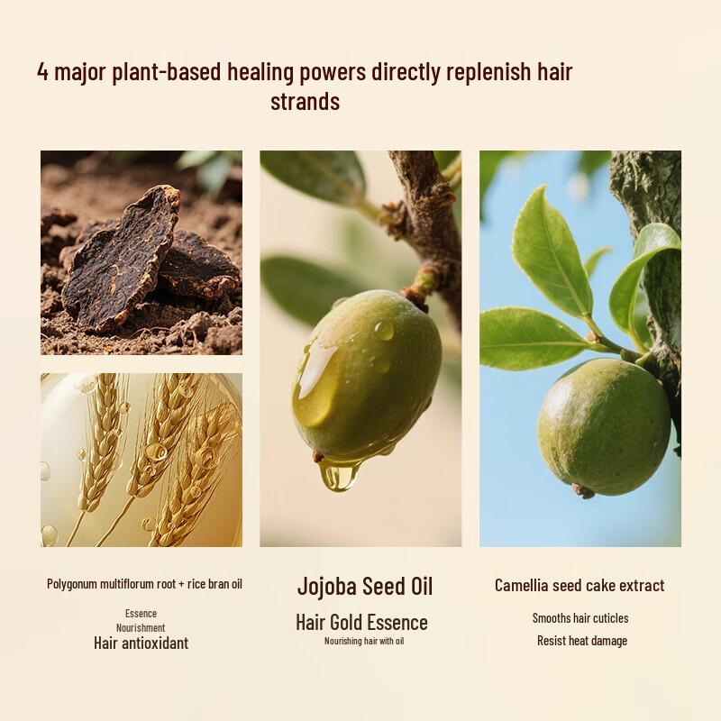 Long Hair Xiaozhai Rice Protein Repair Hair Lotion