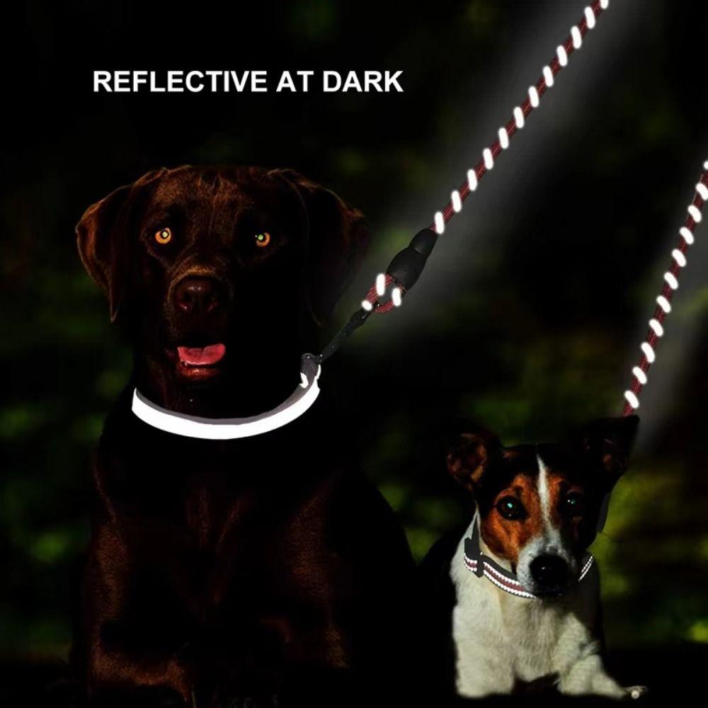 Guinzaglio Doppio Riflettente per Cani Guinzaglio Doppio Resistente Guinzaglio Doppio per Animali da Compagnia Guinzaglio Doppio per Addestramento Animali da Compagnia per Cucciolo
