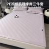 Summer Coolness Washable Machine Washable Glacier Mat Bed Mat Set - Lola