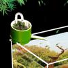Žuvys ir jūros gyvūnai – Akvariumo priežiūra