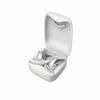 Sayrelances OWS Sound 20 Ear-hook Bluetooth Earbuds
