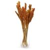Dried Cantal Grass Bunches - Orange Set of 6