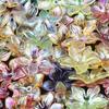 50pcs Rainbow Acrylic Flower Beads, Transparent Petal Beads, Suitable for DIY Necklace, Earring, and Decorative Bead Making Acce