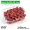 Chixing Disposable Clear Plastic Fruit Packaging Container with Lid