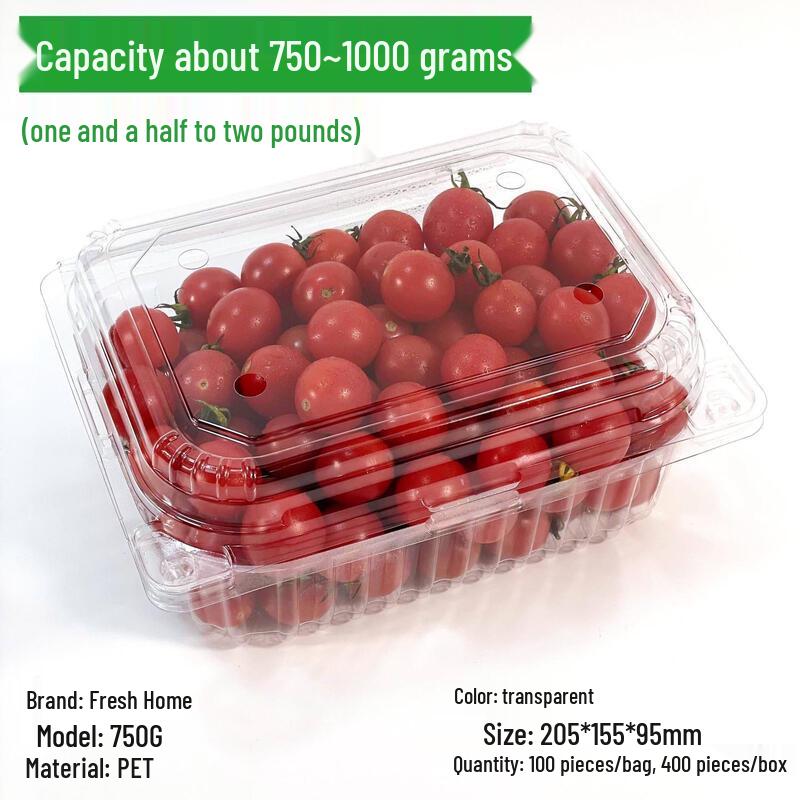 Chixing Disposable Clear Plastic Fruit Packaging Container with Lid
