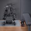 VEVOR Weight Plate Rack, A Frame Weight Plate Tree for 1-Inch Weight Plates, Standard Weight Plate Tree, 500 lbs Load Capacity Weight Storage Holder