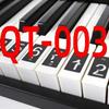 Bunte Klaviertastatur-Aufkleber für 88-Tasten elektronisches Klavier