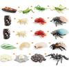 Realistic Mini Insect Set Featuring Grasshopper Bee Spider Life Cycle Models For Learning