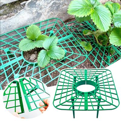 Plastic Strawberry Supports Anti-rot Strawberry Growing Racks Holder Strawberry Plant Stand Home and Garden Plants Accessories
