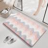 Fleece-lined Entrance Door Mat, Absorbent Floor Mat, Living Room Carpet, Bathroom Non-slip Foot Mat
