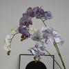 Luxury Artificial Phalaenopsis Flower Arrangement - 9 Heads, Morandi Color for Weddings & Hotels