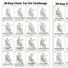 2Pcs Chair Tai Chi Workout Posters Seated Exercises Chart 30-Day Chair Tai Chi Guide for Seniors Beginners Home Gym Decor