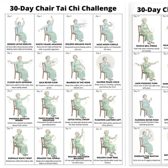 2Pcs Chair Tai Chi Workout Posters Seated Exercises Chart 30-Day Chair Tai Chi Guide for Seniors Beginners Home Gym Decor
