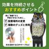Bird Repellent Set of Realistic Owl Deter Crows and Pest Control Owl Realistic Bird Ornament for Garden Decor K.Lab 2, Design, Pigeons, Item, Object,