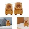 Bubble Capybara Plus Toy Stuffed Kids Room Decor Hugging Plush Doll for Teens