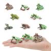 Wildlife Pvc Animal Models With Realistic Frog Collection For Children Educational Decor